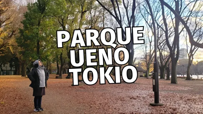 Descubre La Belleza Del Parque Ueno Toshogu En Tokio Un Destino