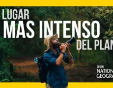 Descubre la maravilla del senderismo en el Parque Nacional de Kyushu – Guía completa