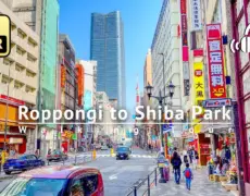 Descubre la elegancia y comodidad del Hotel The Strings by InterContinental Tokyo en el corazón de Minato City y Shiba Park