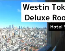 Descubre la elegancia y comodidad del Hotel The Westin Tokyo en el corazón de Tokio Meguro City Mita