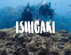 Descubre el paraíso submarino: Practica el buceo en Ishigaki