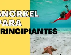 Descubre la magia del esnórquel en la impresionante costa de Izu: La guía definitiva para practicar esta actividad acuática