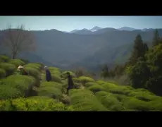 Descubre los mejores senderos para practicar el senderismo en la impresionante península de Izu