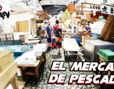 Descubre la experiencia única de recorrer el Mercado de Pescado Tsukiji en Tokio