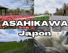 Descubre los encantos de Asahikawa: el destino perfecto para tu próxima aventura de turismo