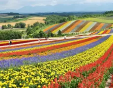 Descubre la aventura de practicar ciclismo de montaña en las impresionantes colinas de Hokkaido