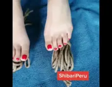 Descubre el fascinante mundo del Shibari: Arte y técnica del bondage japonés