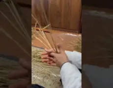 Descubre todo sobre el shimenawa: la tradicional cuerda japonesa que te sorprenderá