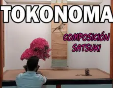 Descubre el encanto del Tokonoma: el rincón elevado que transformará tu hogar