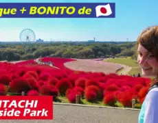 Descubre los encantos de Turismo Hitachi: una experiencia única en Japón