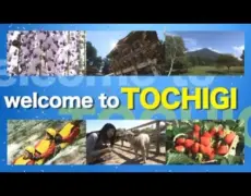 Descubre los secretos del turismo en Tochigi: un destino imperdible en Japón