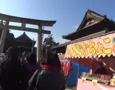 Descubre la encantadora ciudad de Toyokawa: tu próximo destino turístico imperdible