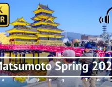 Descubre la magia de Matsumoto con nuestras visitas guiadas: la mejor forma de explorar la ciudad en tu viaje de turismo