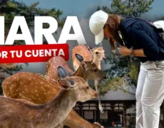 Descubre Nara: Las mejores visitas guiadas para tu próximo viaje de turismo