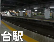 Descubre la magia de Sendai con nuestras visitas guiadas: turismo y viaje inolvidables