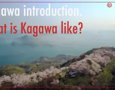 Descubre Takamatsu: Las Mejores Visitas Guiadas para tu Próximo Viaje de Turismo