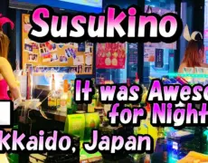 Descubre la vida nocturna en Susukino: guía de turismo para disfrutar de bares y restaurantes en Sapporo