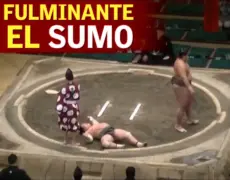 Turismo en Nagoya: Vive la emoción de un espectáculo de lucha libre de sumo