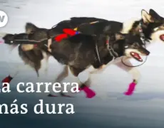 Turismo invernal: Disfruta de un emocionante paseo en trineo de perros cerca de Sapporo