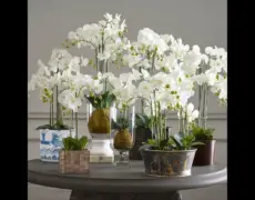 Descubre el turismo floral en Yokohama: Explorando el Jardín de Orquídeas