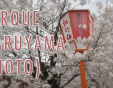Descubre el turismo natural en el Parque Maruyama de Sapporo: ¡Un viaje inolvidable!