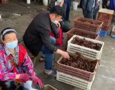 Descubre el encanto culinario de Makishi: un destino turístico imperdible para los amantes de la comida fresca y el viaje