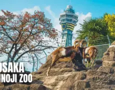 Paseando por Tennoji: La combinación perfecta de turismo y naturaleza en el zoológico de Tennoji