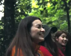 Descubre la belleza natural de Shirakami-Sanchi, Patrimonio de la Humanidad: Un destino imperdible para los amantes del turismo y el viaje