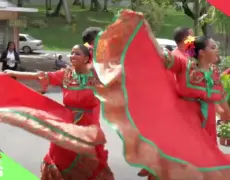 Descubre la diversidad botánica de Sapporo: una experiencia inolvidable de turismo y viaje