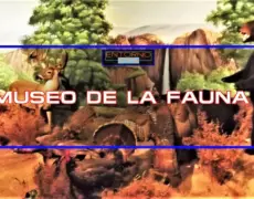 Explorando la fauna y flora del Museo de Nogeyama Zoo: una aventura de turismo y viaje