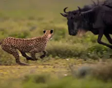 Descubre la belleza natural del Parque Toshima en Naruto: una aventura turística inolvidable
