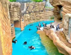 Descubre la fascinante fauna de Higashiyama en Nagoya: un imperdible en tu viaje de turismo