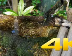 Descubre la fascinante historia de la dinastía Tokugawa en tu viaje al Museo Tokugawa Art en Nagoya