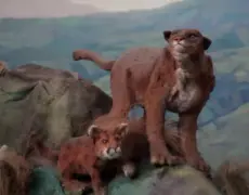 Descubre el emocionante turismo científico en el Museo de Ciencia de Sapporo: ¡Exposiciones interactivas te esperan!