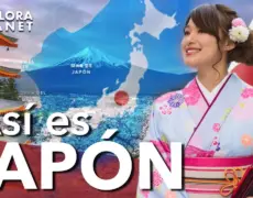 Descubre la fascinante historia de la seda en Japón: turismo en el Museo de la Seda de Yokohama