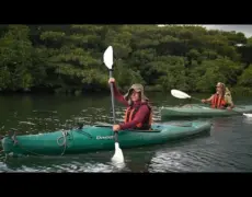 Descubre la exótica isla de Iriomote: turismo, aventura y naturaleza en una sola experiencia