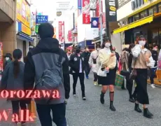 Descubre Tokorozawa: Las mejores visitas guiadas para tu viaje de turismo