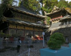 Nara: Ciervos sagrados y el Gran Buda de Bronce