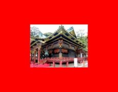 Japón con niños: Los mejores parques y museos familiares